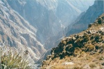 Colca Canyon