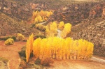 Autumn Colours in Gritos River - Cuenca