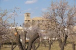 Buendia en primavera - Guadalajara
Buendía, Guadalajara, Castilla La Mancha, almedros en flor, iglesia