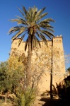 Kasbah de Ait Abou - Skoura
Marruecos, Skoura, Kasbah, Castillo
