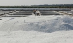 Salt production in Tamil Nadu