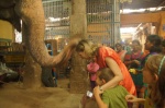 Bendecidos por el elefante, Templo de la Roca de Trichy
India, Sur de India, Tamil Nadu, Trichy, Tiruchirappalli, Templo