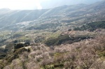 Thousands of almond blossom - Rubite - Granada