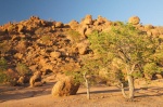 Paisaje en Mowani Mountain Camp, Twyfelfontein, Damaraland