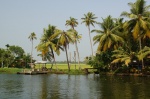 Palmeras, agua y arroz -Paisaje de las Backwater
India, Sur de India, Kerala, Backwaters, Paisaje