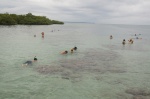 Turistas buceando en Cayo Coral - Bocas del Toro
Panamá, Bocas del Toro, Isla de Bastimentos, Bastimentos, Cayo Coral, Snorkel, buceo