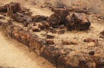 Troncos fosiles en el Petrified Forest, Khorixas - Damaraland