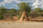 Termiteros junto a la C39 de Etosha entre Khorixas y Outjo