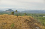 Paisaje de finca ganadera de las tierras bajas de Chiriqui (cerca de Boca Chica)