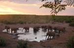Charca de Halali al atardecer - Etosha
Namibia, Etosha, Etosha, Parque Nacional, Halali, Elefantes