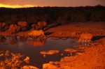 Rinocerontes y Elefantes compartiendo la charca de Halali - Etosa
Namibia, Etosha, Etosa, Parque Nacional, Halali, Elefantes, Rinocerontes