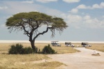 Landscape in the Nothern of Halali - Etosha