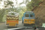 Road from Coimbatore to Ooty