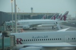 Aeropuerto de Doha, pistas con aviones de Qatar Airways