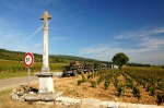 Jeeps in Burgundy wineyards - Montrachet
