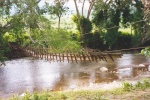 Puente colgante sobre un río - Copan - Honduras
Honduras, Copan, ruinas mayas, puente