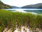 Paisaje lacustre en P. N. Plitvice
Croacia, Plitvice, lagos, cascadas