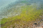 Playa en Isla del Sol - Lago Titicaca