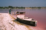 Pink Lake - Senegal
