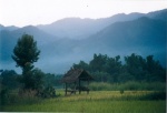 Amanecer en el Norte de Laos
Laos, Arroz