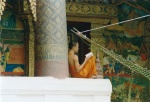 Monje budista leyendo en Luang Prabang