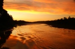 Rio Kinabatangan - Borneo