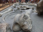 Fosil de Mastodonte - Museo del Instituto Geologico y Minero de España- Madrid
Madrid, Museo, Geominero, Gemas, Fósiles, Minerales