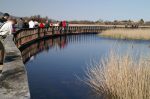 Tablas de Daimiel
Parque Nacional Tablas Daimiel Ciudad Real