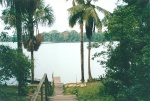 Lake Sandoval - Amazon