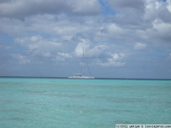 el barco
el barco
