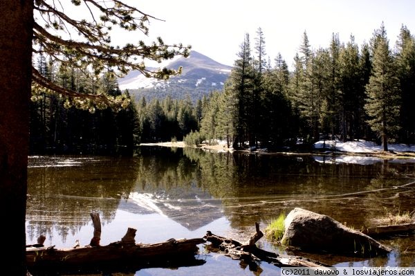 Foro de Tioga Pass Yosemite: Reflejos