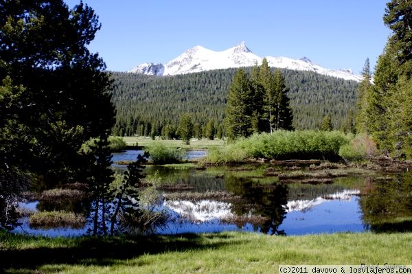 Foro de Yosemite 2 Dias en Costa Oeste de USA: El espejo de las praderas