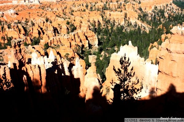 El Martillo de Thor
Hoodo conocido como el Martillo de Thor (en el centro) en Bryce Canyon
