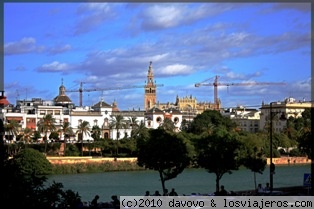 Panorámica sevillana
Vista de la RIbera Sevillana con la Giralda de fondo
