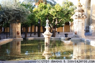 Fuente
Fuente en el Patio de los Naranjos de la Mezquita de Córdoba
