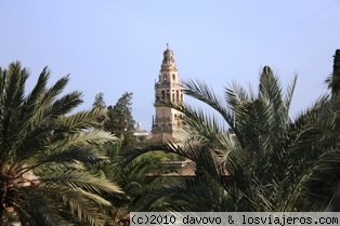 Vista de la Mezquita
Torre de la Mezquita vista desde el Alcázar (Córdoba)
