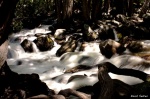 La pureza
Riachuelo, Yosemite, California, pureza