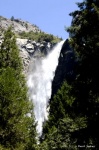 La fuerza del velo
Bridevail, Fall, Yosemite, fuerza, velo