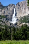 Upper Yosemite Falls
Upper, Yosemite, Falls, Cascadas, California