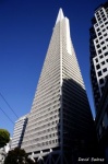 Transamerican