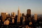 Atardece sobre el Skyline
Atardece, Skyline, Precioso, Francisco, Coit, Tower, sobre, atardecer, desde