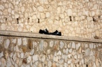 Perdidos 
Perdidos, Zapatos, Gibraltar, olvidados