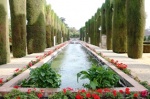 Senda
Senda, Otra, Alcázar, Córdoba, parte, patio