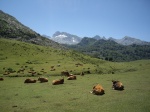 Lagos de Covadonga