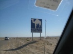 Cuidado camellos