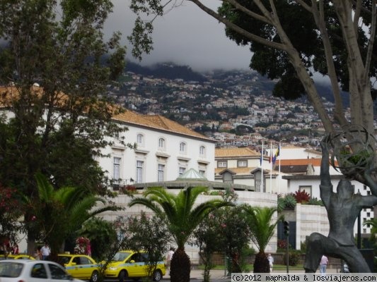 Fiesta del Vino de Madeira 2023 - Funchal: Arte de Puertas Abiertas - Madeira, Portugal ✈️ Forum for Travellers