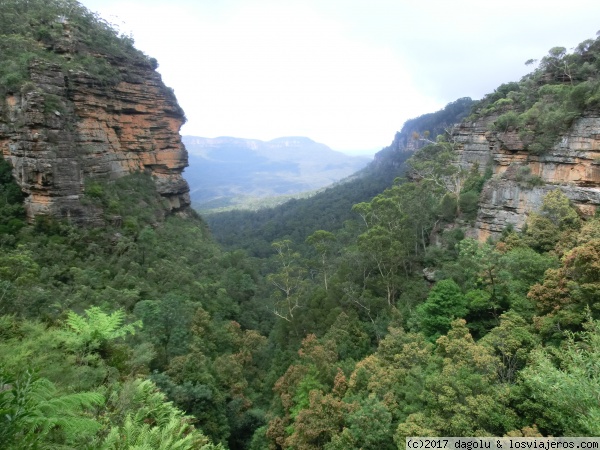 Sydney
Montañas azules
