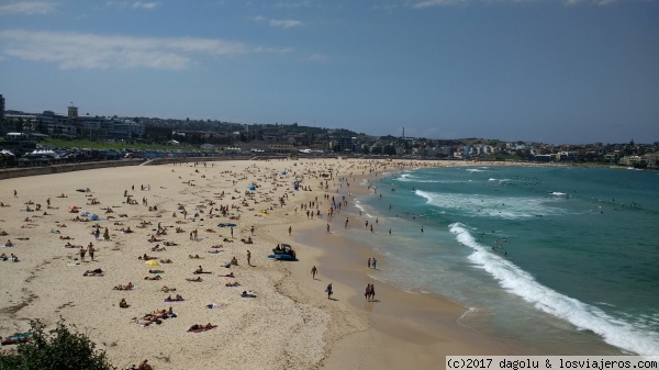 Sydney
Playa de Bondi park
