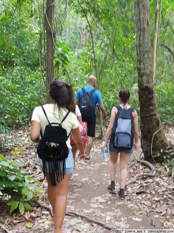 Colombia, 15 días por este precioso país. Marzo 2017 - Blogs de Colombia - Día 5: Parque Nacional de Tayrona (2)