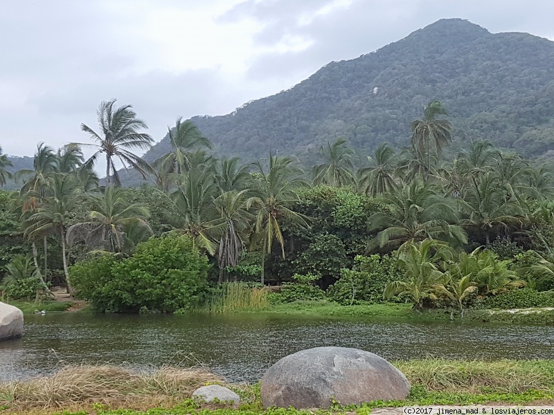 Colombia, 15 días por este precioso país. Marzo 2017 - Blogs de Colombia - Día 5: Parque Nacional de Tayrona (3)